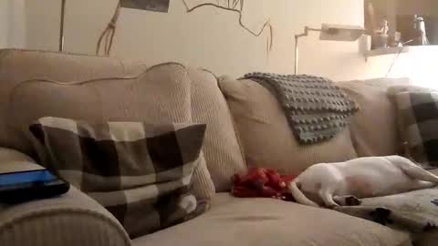 Rusty online show from September 13, 2:14 am