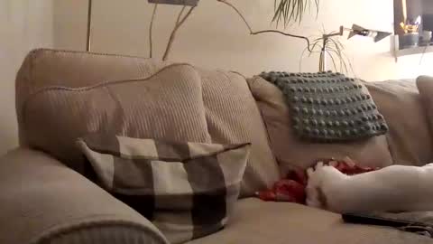 Rusty online show from January 31, 3:52 am