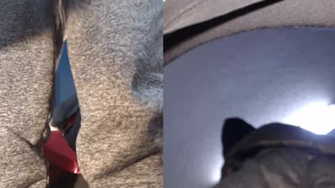 Ryushi009 online show from January 21, 5:38 am