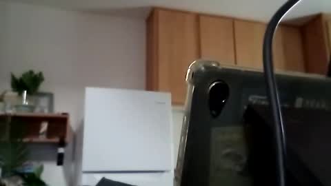 Snapshot of salis1981 chatting on October 14, 11:08 pm salis1981 online show from October 14, 11:08 pm