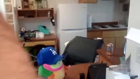 Snapshot of salis1981 chatting on September 25, 8:49 pm salis1981 online show from September 25, 8:49 pm