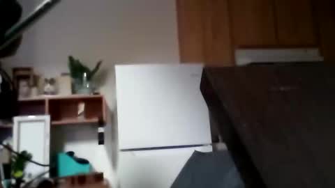 salis1981 online show from November 12, 6:10 pm