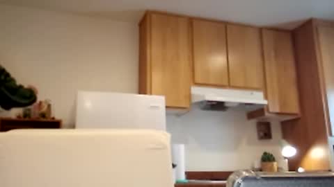 Snapshot of salis1981 chatting on March 2, 5:36 pm salis1981 online show from March 2, 5:36 pm