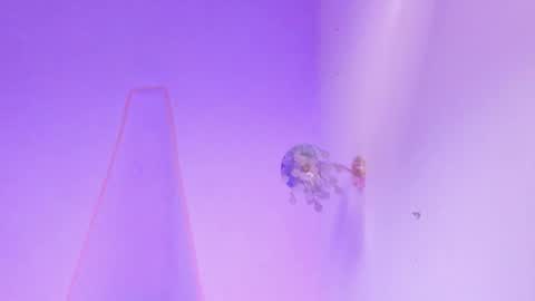 samaelandlilitt online show from December 18, 10:32 am