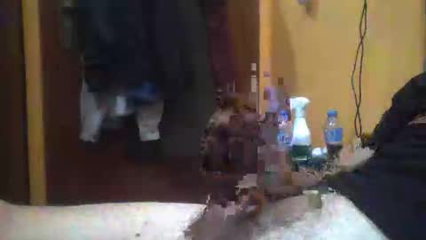 samirbob2020 online show from November 14, 2:08 pm