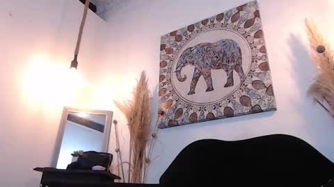 Sammy  online show from February 4, 6:50 am