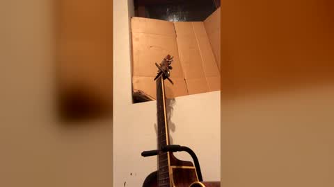 sandrolickyou online show from February 24, 12:13 am