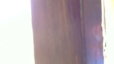 CdSissySarah online show from July 4, 4:54 pm