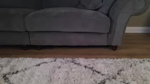 Belle Fox online show from November 20, 11:24 pm