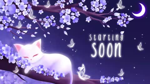 Snapshot of sassykittyn chatting on September 15, 4:25 am Sassy Sami Kittyn online show from September 15, 4:25 am