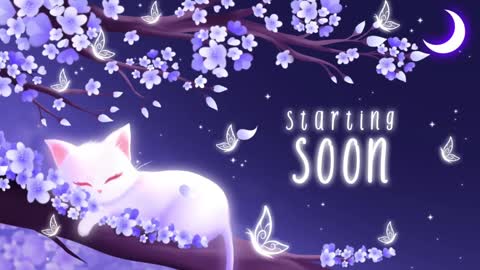 Snapshot of sassykittyn chatting on January 7, 6:16 am Sassy Sami Kittyn online show from January 7, 6:16 am