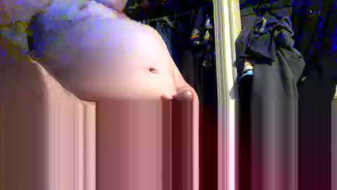 sattebs online show from December 5, 11:23 am