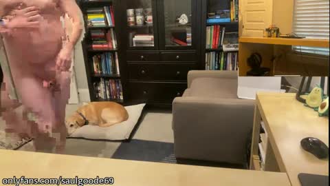 Saul Goode online show from January 30, 11:13 pm