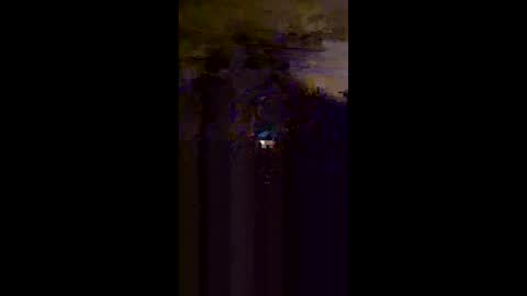 savlan online show from March 28, 2:13 am