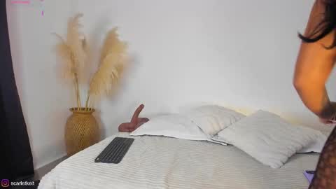 scarlet  online show from November 21, 11:41 am