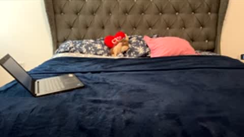 Scarlett online show from February 24, 5:49 pm