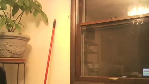 scottpbi52 online show from October 4, 3:59 am