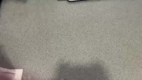 scottyc48 online show from January 18, 11:41 am