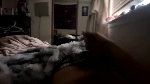 sdcalibrownboy619 online show from February 18, 5:35 pm