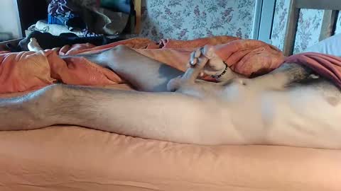 seb online show from December 14, 10:02 am