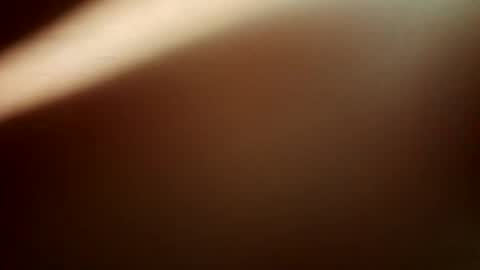 segaiolo21cm online show from November 25, 12:42 am