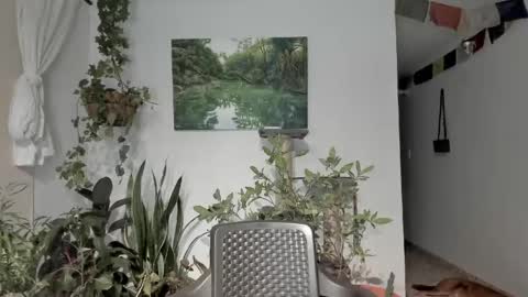         online show from March 16, 3:42 am