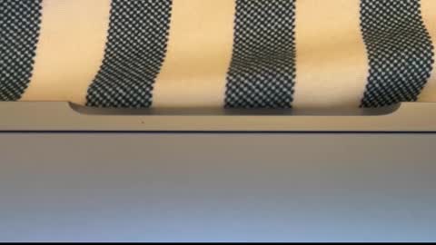 sexxxy cock online show from March 4, 8:22 am