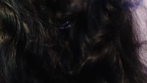    online show from January 15, 3:33 am