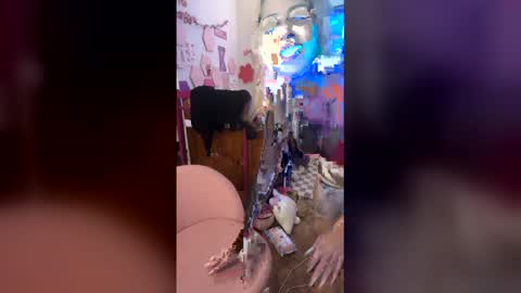 sexy_lil_liz online show from March 19, 4:56 pm