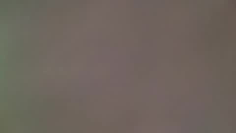 sexywardy online show from December 1, 4:49 pm