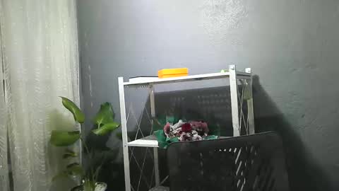 shaharra online show from November 17, 12:52 pm