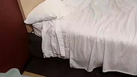 Shane Phantoms online show from January 22, 7:34 pm