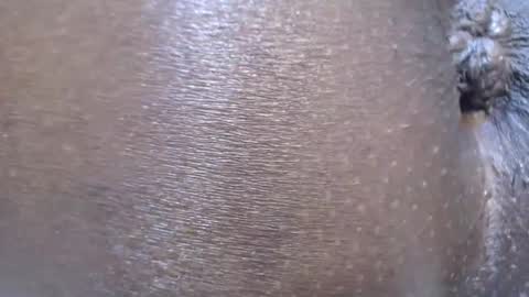 Sharatie online show from February 28, 7:07 pm