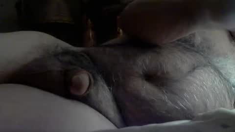 Sharkey644 online show from March 24, 11:49 am