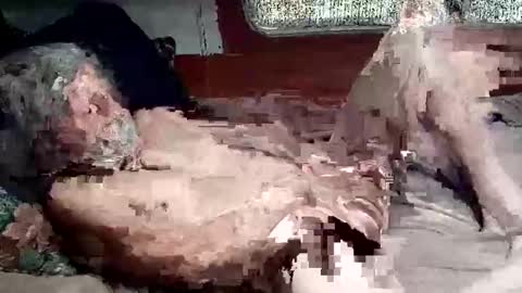 Shamroc online show from March 4, 3:20 pm