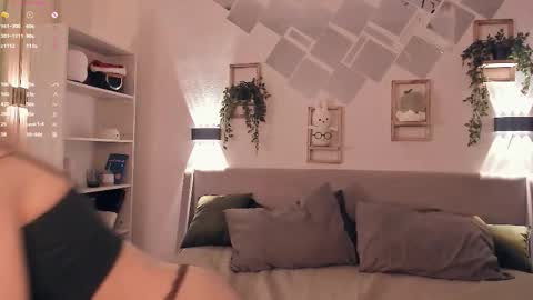 Stella  online show from February 6, 8:29 am