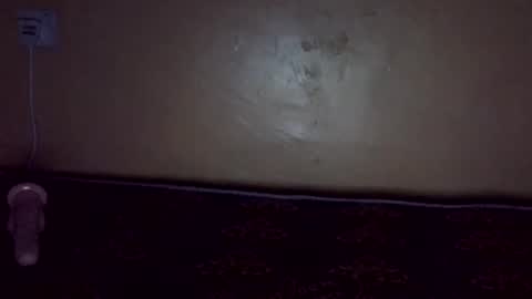 shinny_ryn online show from November 19, 3:33 pm