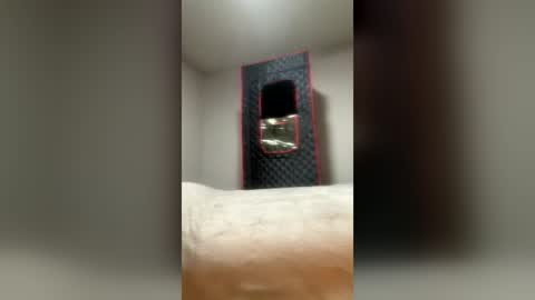 shycuriousbottom1234 online show from June 22, 9:39 am