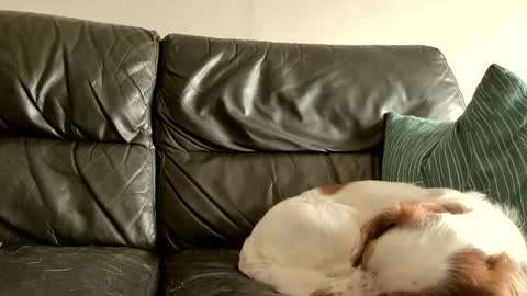 shyguy859271 online show from September 15, 11:12 am