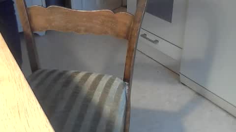 Seba online show from December 3, 7:38 am