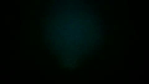 Si-Ms13 online show from January 15, 6:00 am