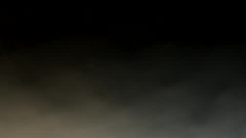 simonsegler online show from March 30, 12:16 pm