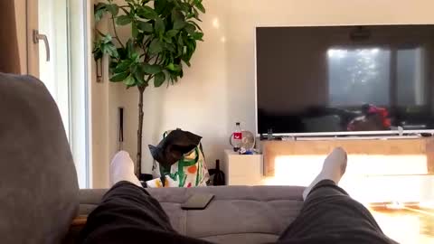 sincarro online show from November 19, 11:20 am