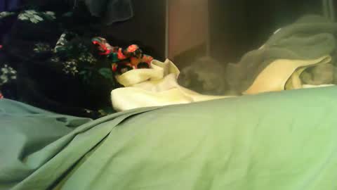 Sinseason online show from November 11, 8:16 am