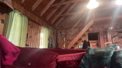 Snapshot of sirbubblesworth chatting on January 10, 9:42 pm sirbubblesworth online show from January 10, 9:42 pm