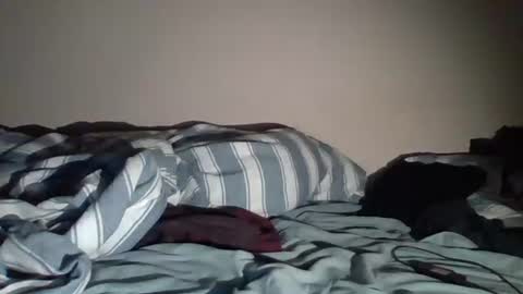 sircamalot45 online show from September 18, 3:32 am