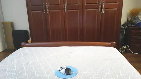 Sissy Ada online show from September 21, 2:21 pm