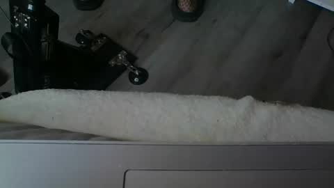 sissymia1234 online show from December 17, 3:24 am