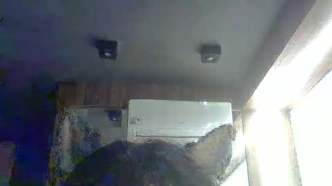 skinnykittencam online show from February 9, 6:50 am