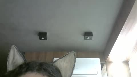 skinnykittencam online show from November 4, 2:46 am